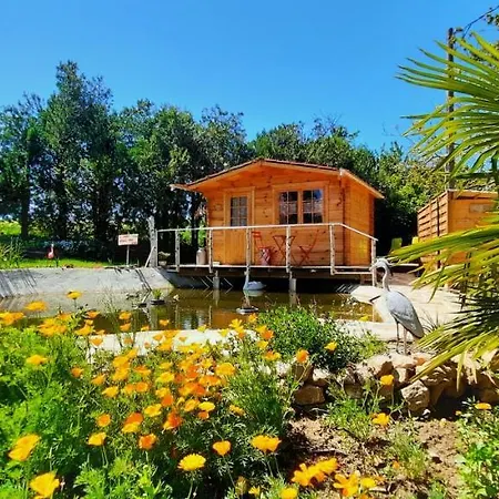 Séjour chez l'habitant De Chenier Reventin-Vaugris